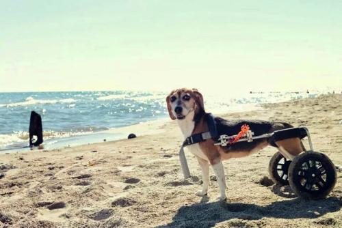 At the beach!