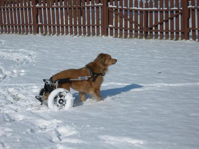 Ashley in the snow