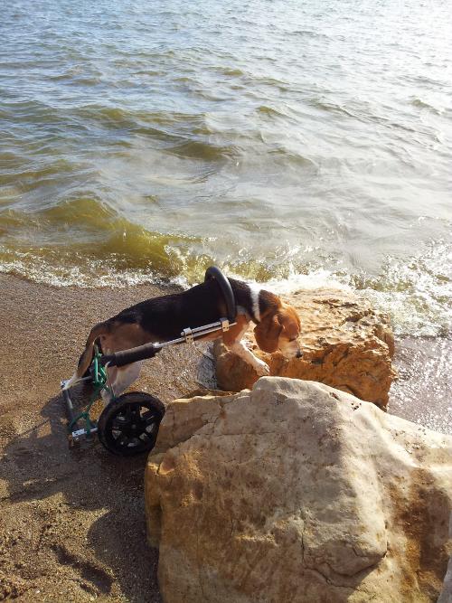At the beach!