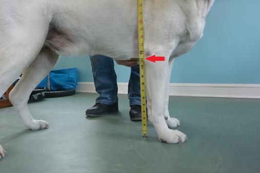Measurement H